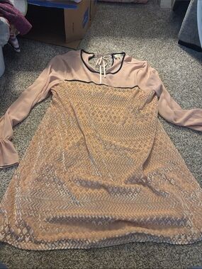 Blush Pink Lace Overlay Long Sleeve Dress